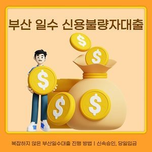 부산일수대출, 신용불량자도 가능한 맞춤 자금 서비스