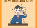 부산일수대출, 여성고객을 위한 안전하고 신속한 금융서비스